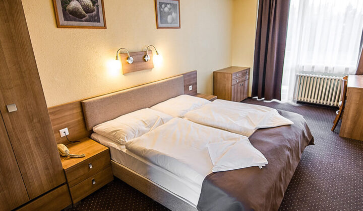 Ubytovanie izba ŠTANDARD Hotel HVIEZDA***